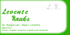 levente mauks business card